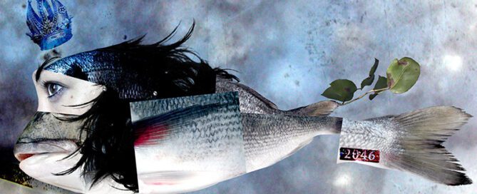 quello che pensi di me, montaggio fotografico, luglio 2002