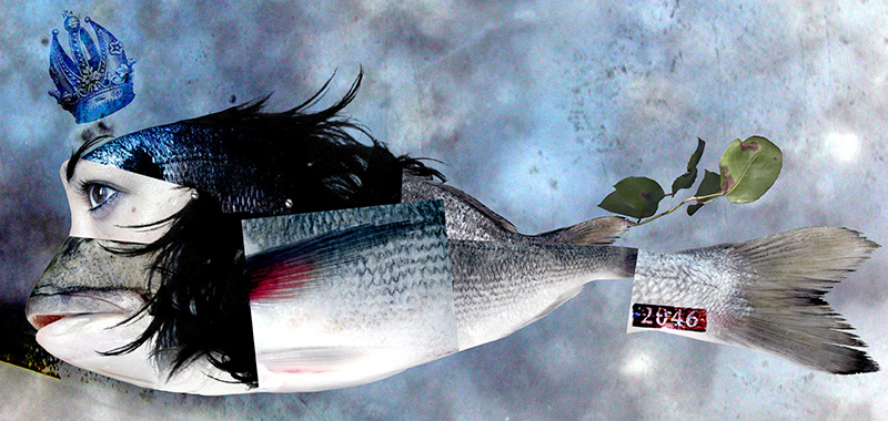 quello che pensi di me, montaggio fotografico, luglio 2002