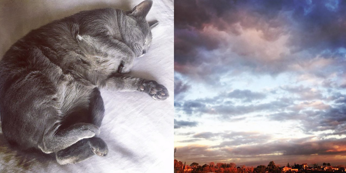 gatti che dormono, slow living, slow stitching, recuperare la lentezza