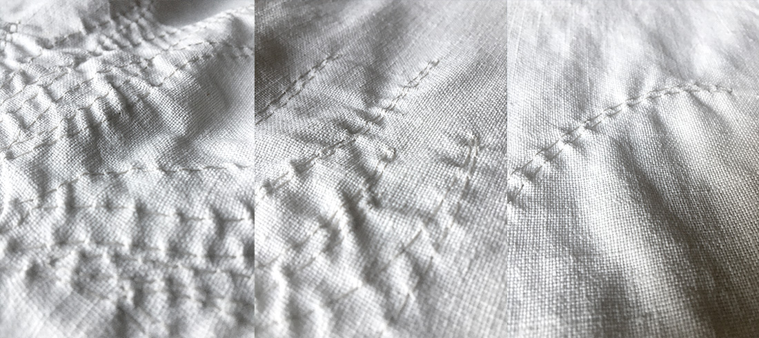 Dettagli dell’alga laminariacea ricamata