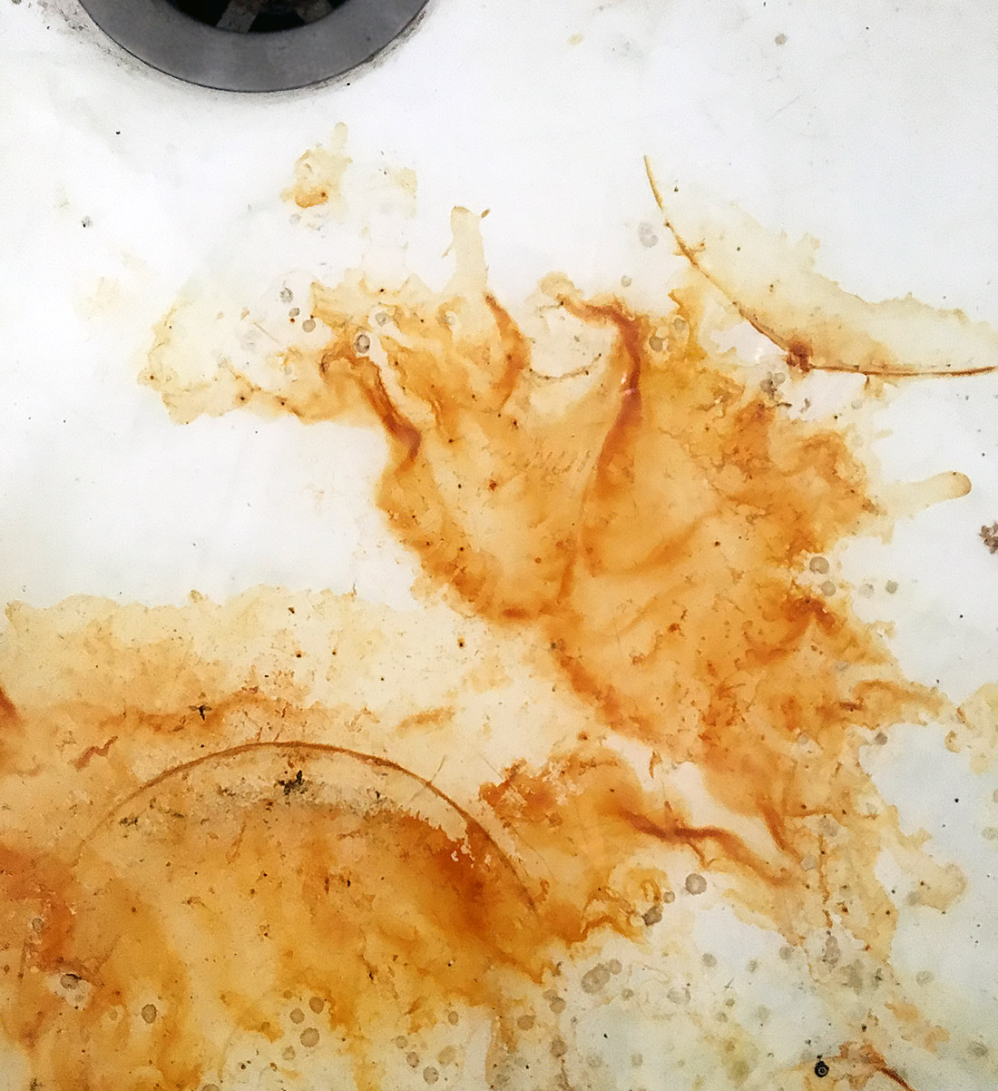 Momento di ispirazione e abbandono creativo