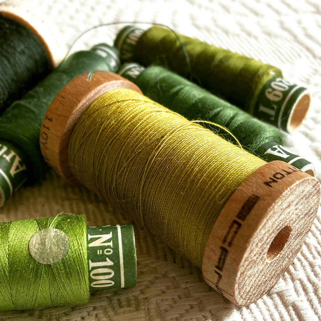 Fili di cotone organico e vintage per ricamare