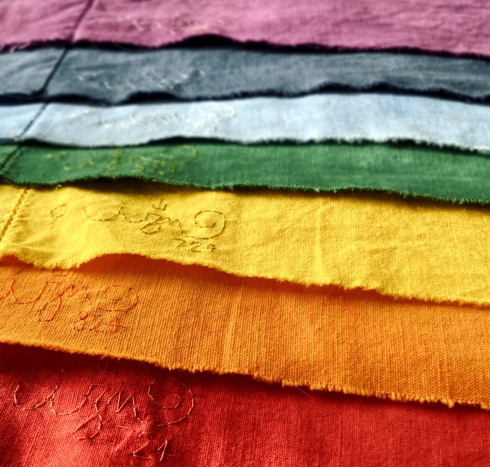 Sonia izn Piscicelli biennale valtopina 2024